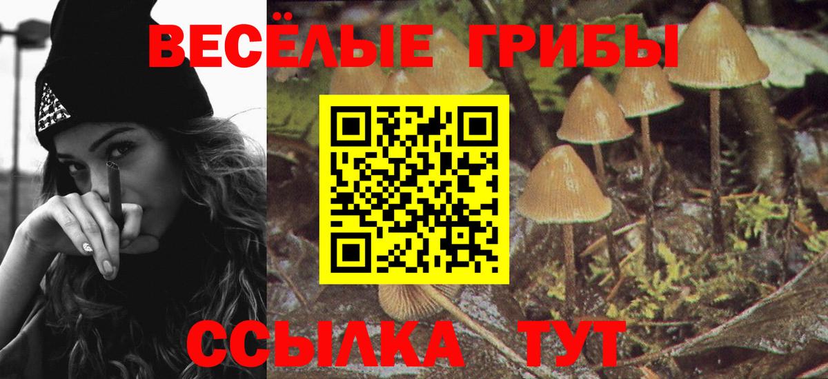Обь  Галлюциногенные грибы ЛСД  наркотики  Вход с VPN 