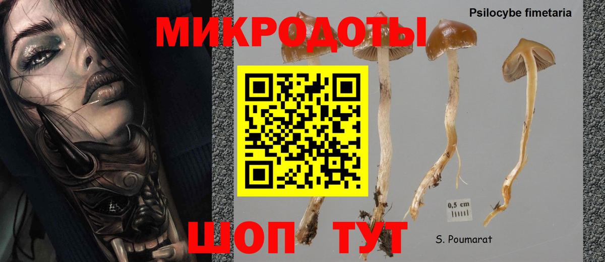 Псилоцибиновые грибы мухоморы Обь
